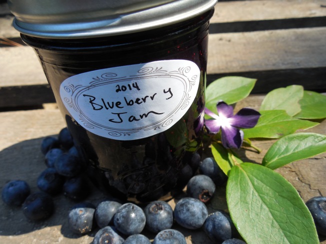 Easy Two Ingredient Blueberry Jam Recipe (No Canning Required!)